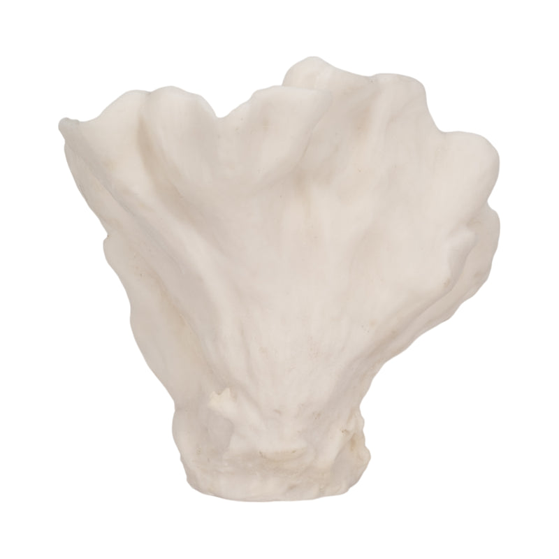 12 Coral Fan D?cor, Ivory