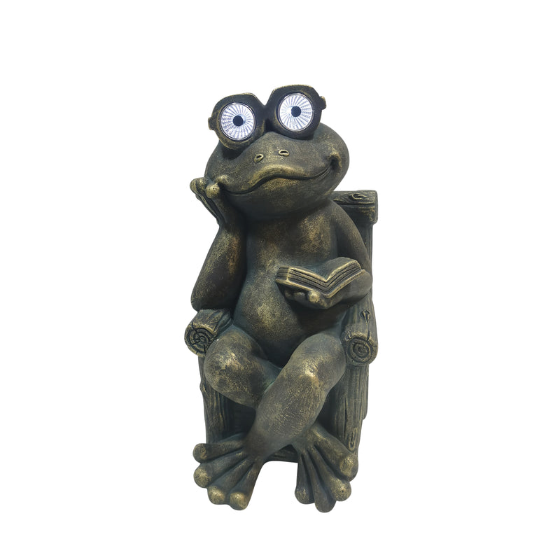 16 Sitting Frog With Book And Solar Glasses, Bron