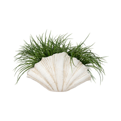 22 Scallop Shell Decor, White