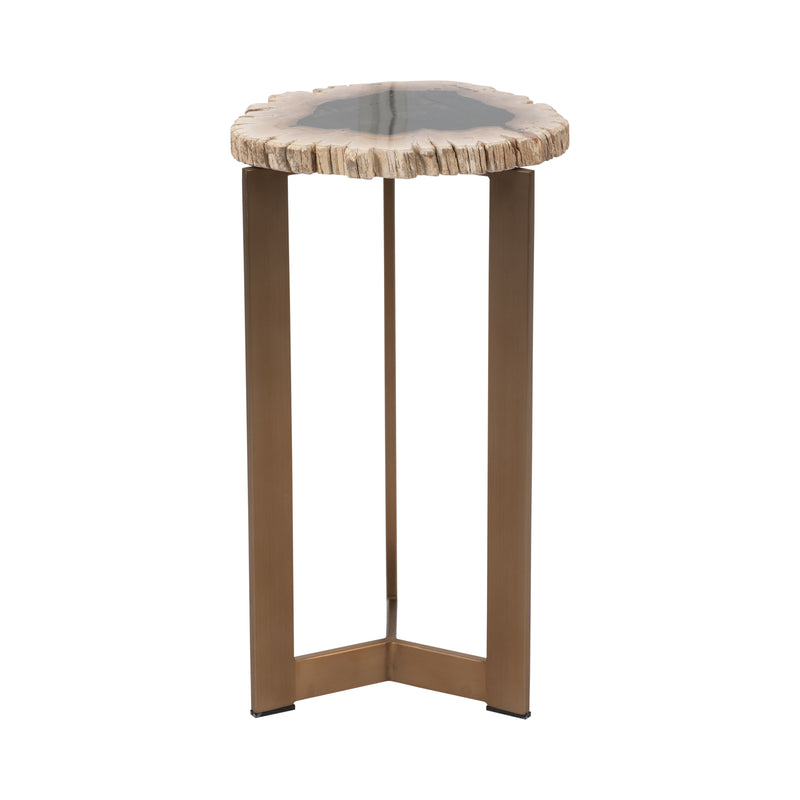 Petrified Wood, 21 Accent Table, Multi