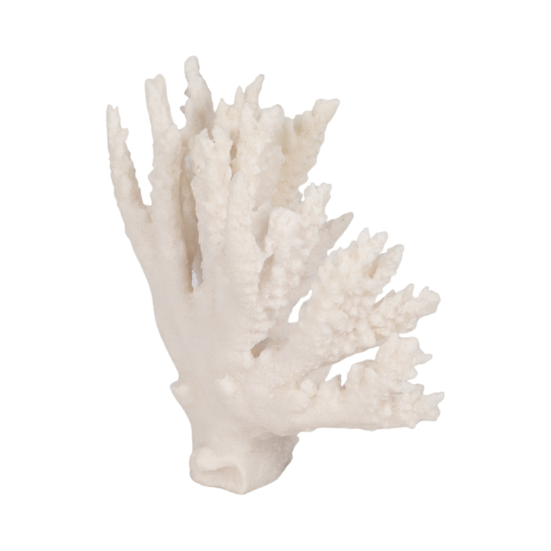 10 Coral Reef D?cor, White