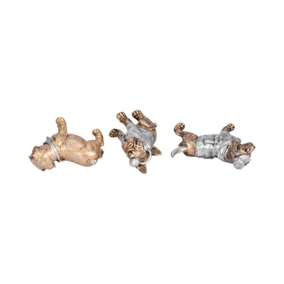 S/3 10 Cool Dogs Decor, Gold