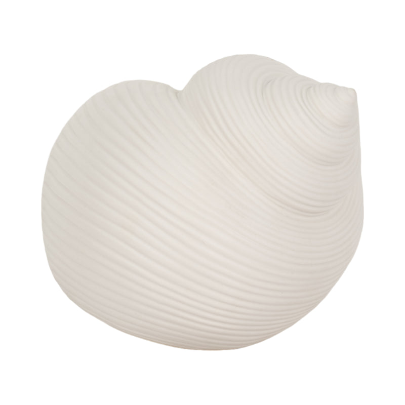 6 Bonnet Seashell, White