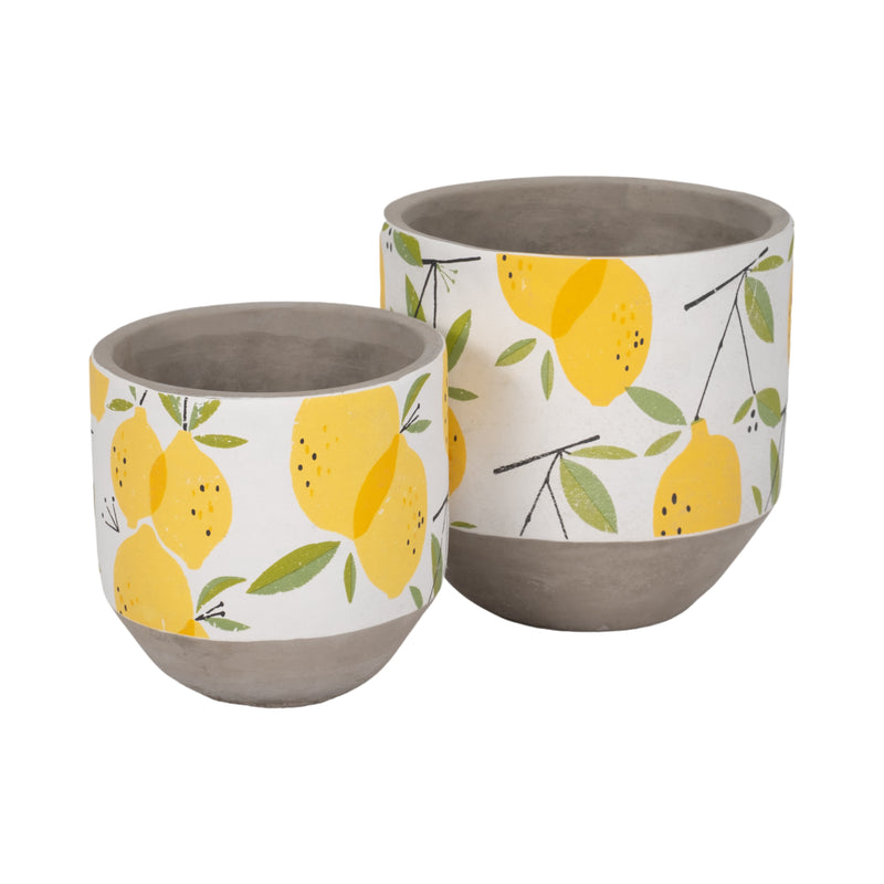 S/2 6/7 Growing Lemons Planter, Multi