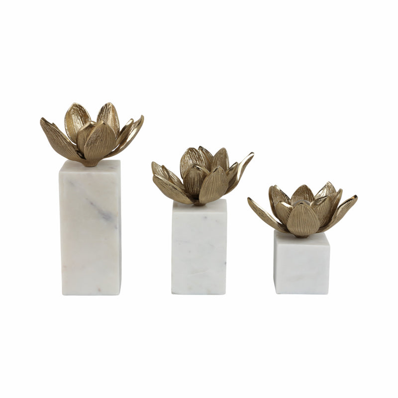 S/3 6/7/10 Darby Champagne Flower Statuary With M