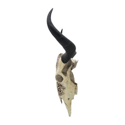 RESIN, 28 BULL SKULL WALL ACCENT, IVORY/BLACK KD