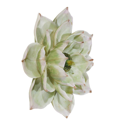 Decorative Resin Lotus Wall Flower, Green