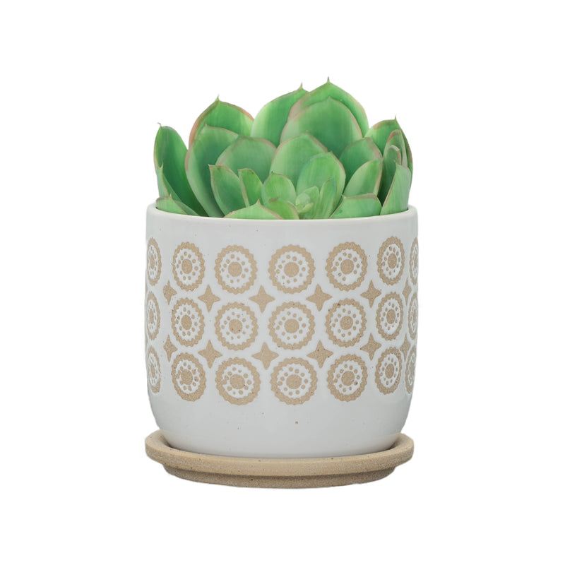 6 CIRCLES PLANTER W/ SAUCER, BEIGE