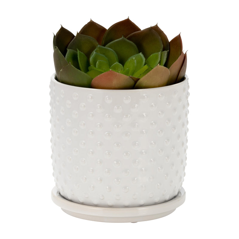 6 TINY DOTS PLANTER W/ SAUCER, WHITE