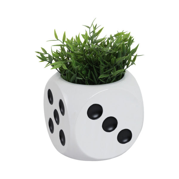 6 Dice Planter, White/black