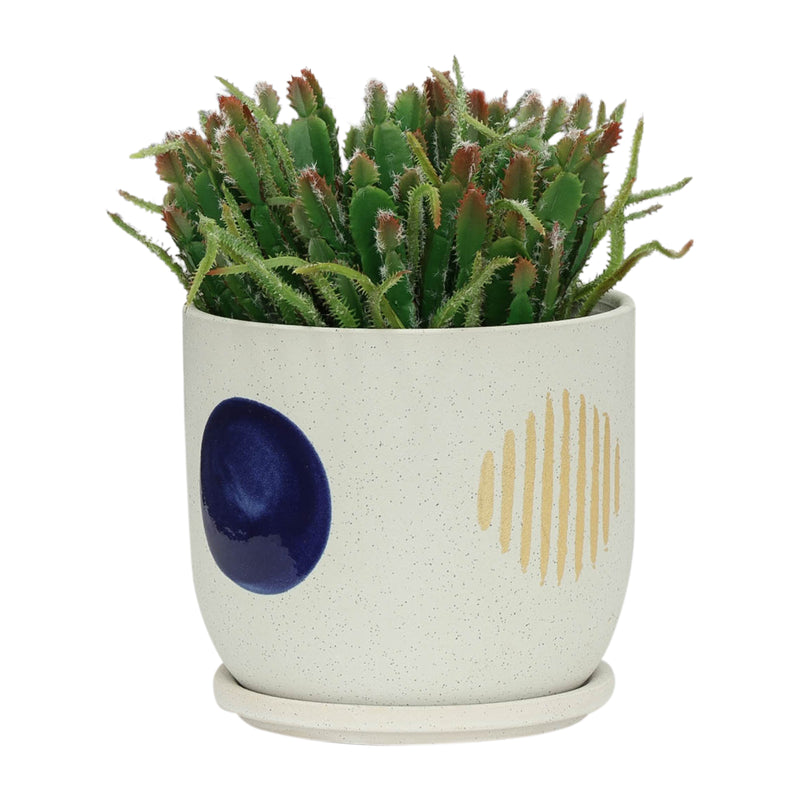 8 Funky Planter W/ Saucer, White