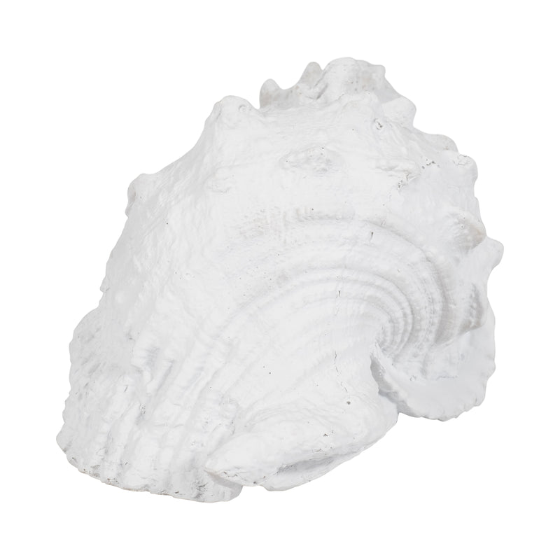 9 Conch Shell, White