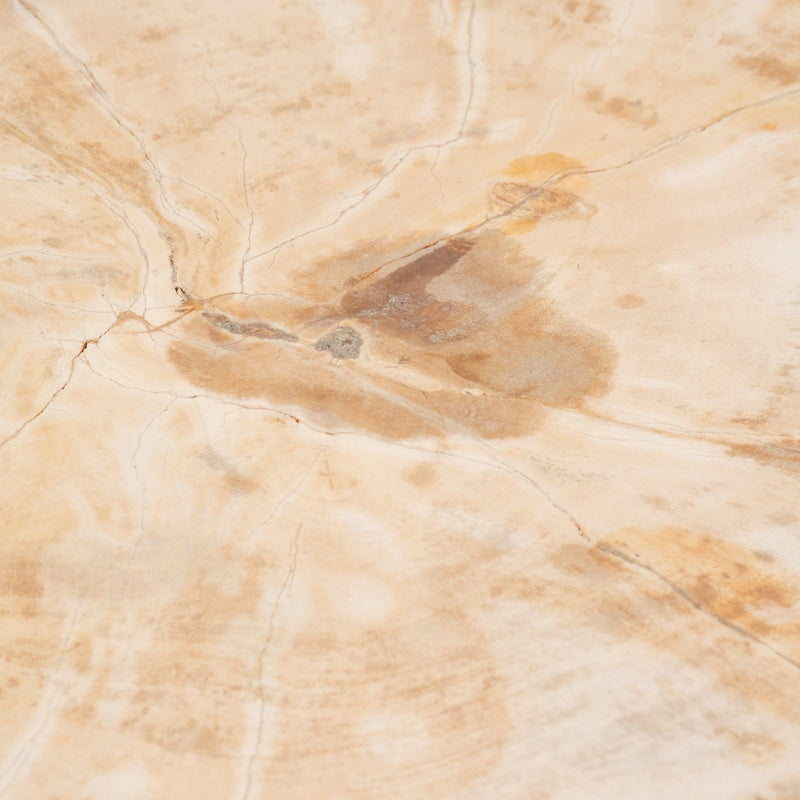 Petrified Wood And Teak 20 Accent Table, Cream