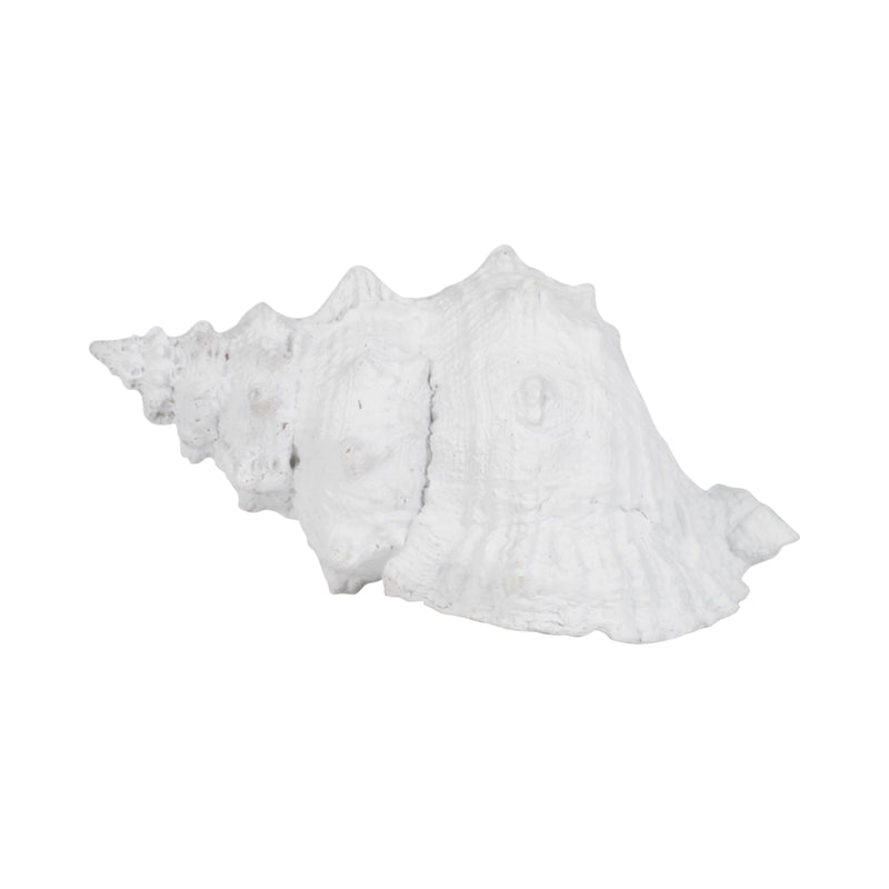 9 Conch Shell, White