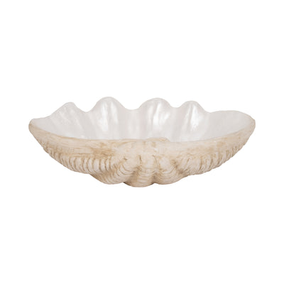 16 Pearlized Shell Bowl, Ivory