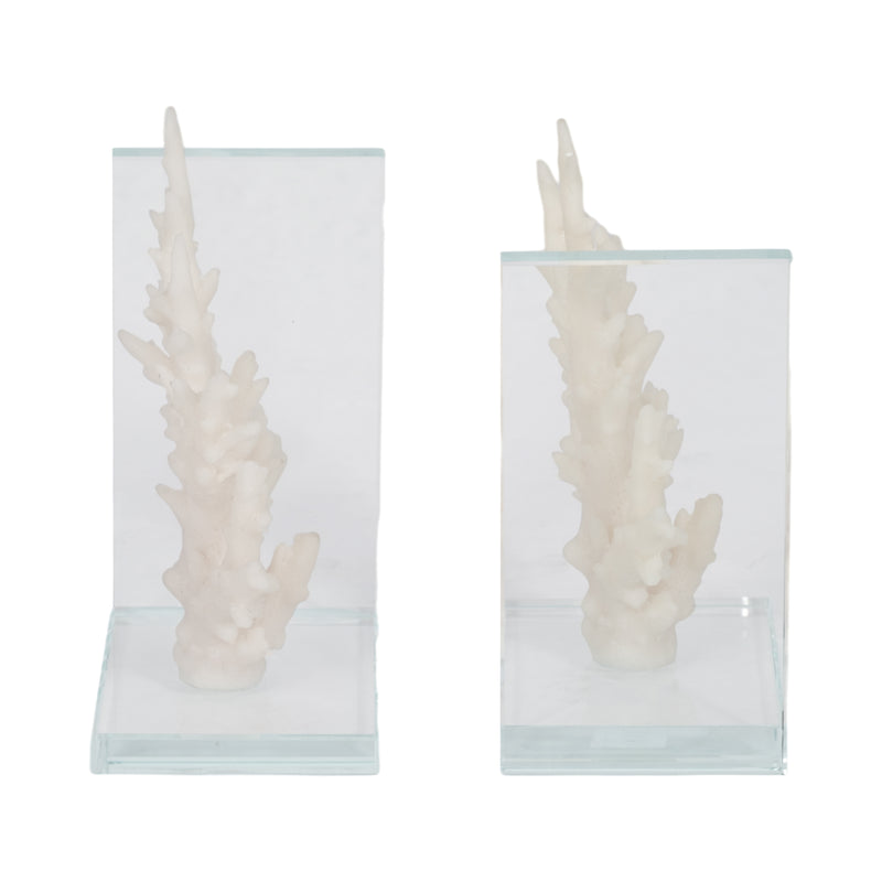 7 Coral On Glass Bookends, White