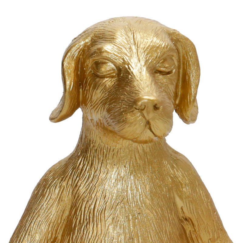 Polyresin 7 Yoga Dog, Gold