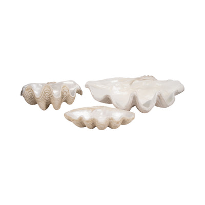 16 Pearlized Shell Bowl, Ivory