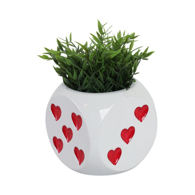 6 Dice Planter, White/red