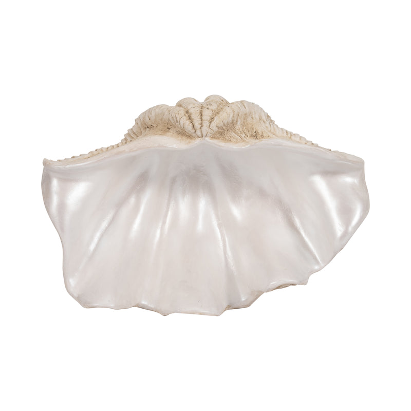 16 Pearlized Clam Shell Bowl, Ivory