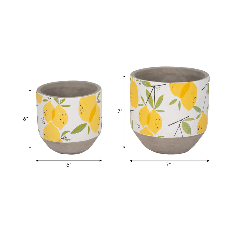 S/2 6/7 Growing Lemons Planter, Multi