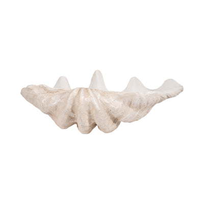 25 Pearlized Clam Shell Bowl, Ivory