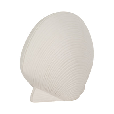 6 Seashell Decor, White