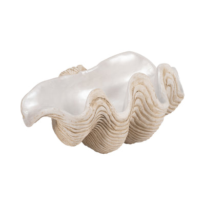 16 Pearlized Clam Shell Bowl, Ivory