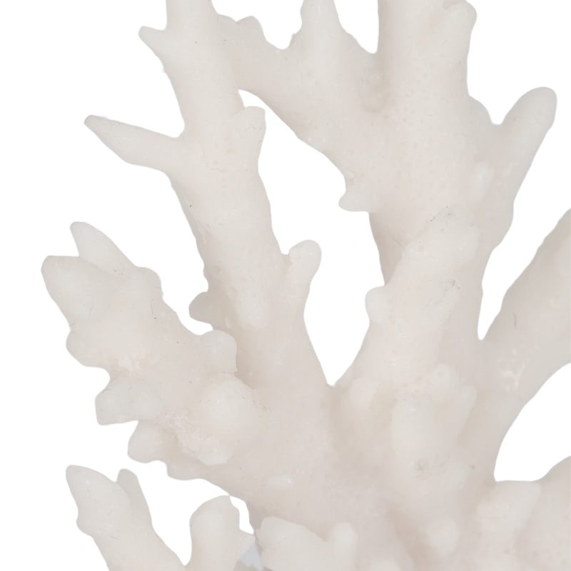 7 Coral On Glass Bookends, White