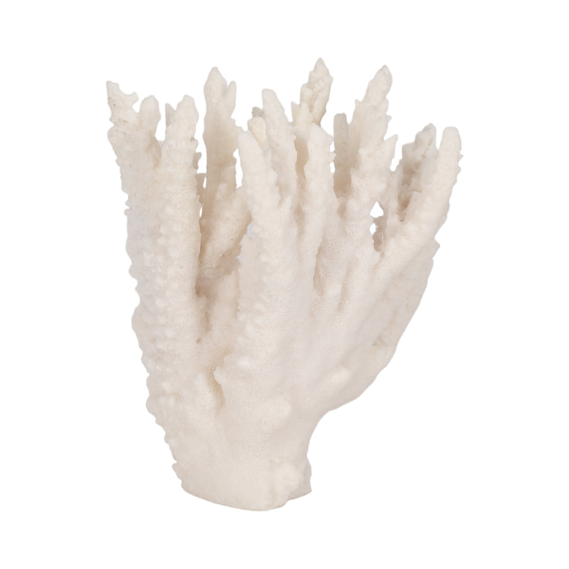 10 Coral Reef D?cor, White