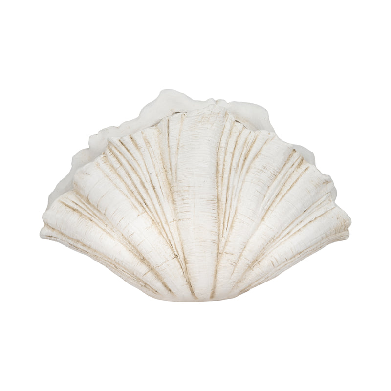 22 Scallop Shell Decor, White