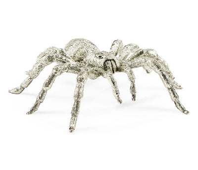 Curated Collection - White Brass Turantula