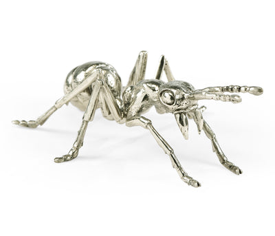 Curated Collection - White Brass Ant