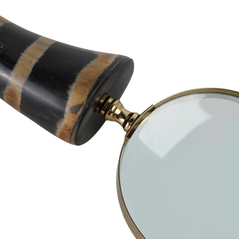 11 Curran Horn Magnifying Glass