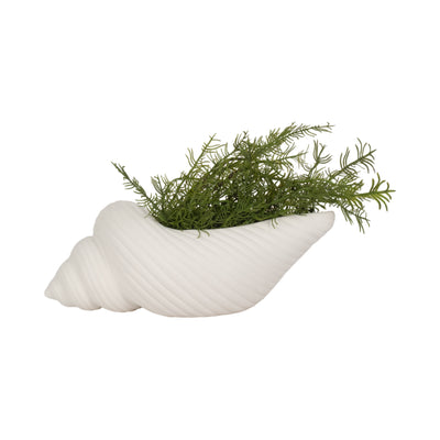 9 Conch Shell Planter, White