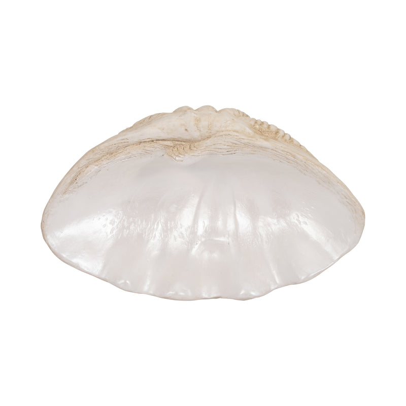 16 Pearlized Shell Bowl, Ivory