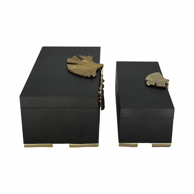 Metal, S/2 12/14 Black Gingko Boxes