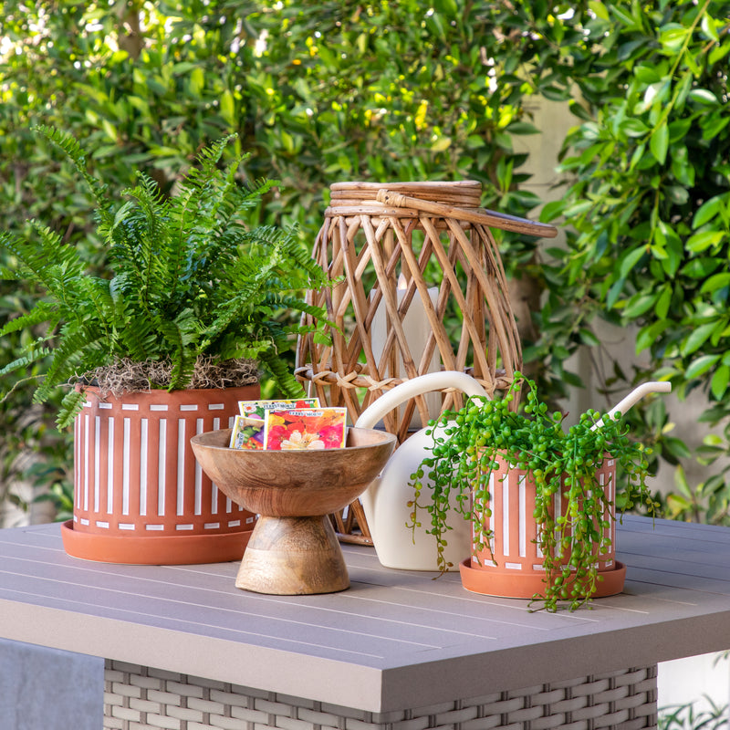 S/2 TERRACOTTA PLANTERS W/ SAUCER 6/8, ORANGE