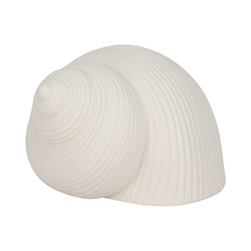 6 Bonnet Seashell, White