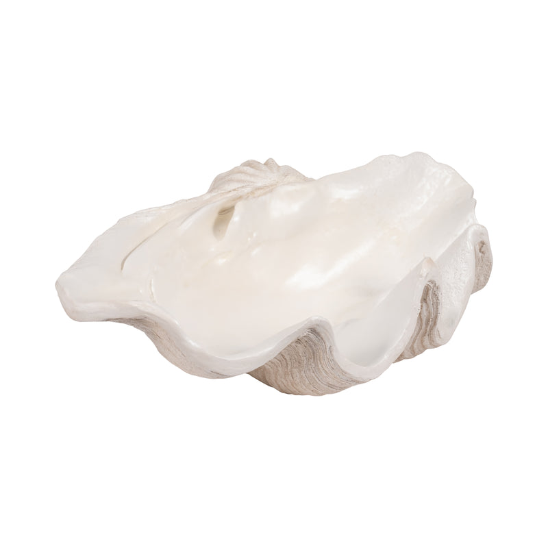 25 Pearlized Clam Shell Bowl, Ivory