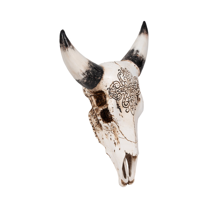 19 Western Bull Skull, Brown