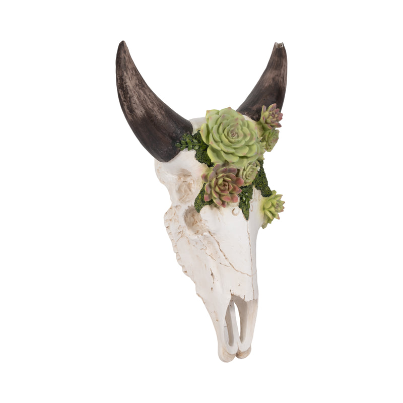 18 Bull Skull With Succulents, Multi