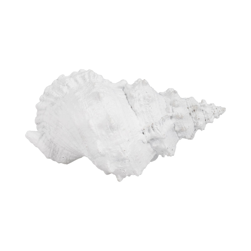 9 Conch Shell, White