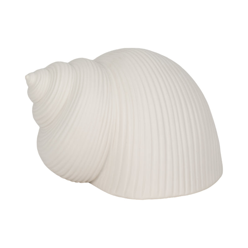 6 Bonnet Seashell, White