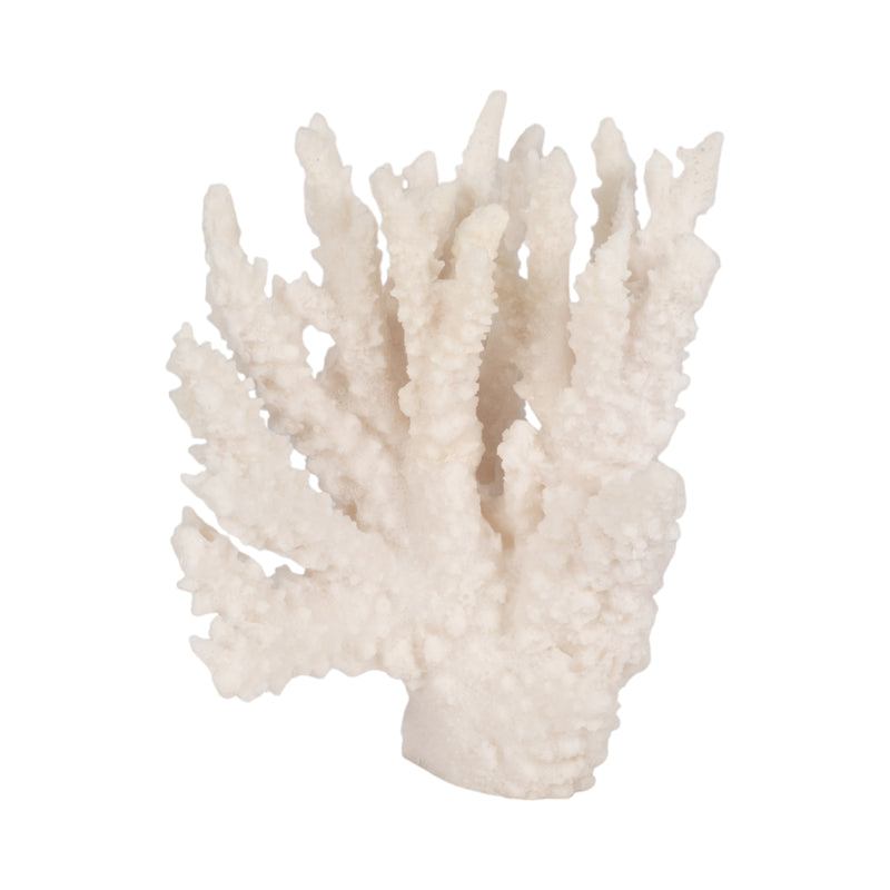 10 Coral Reef D?cor, White