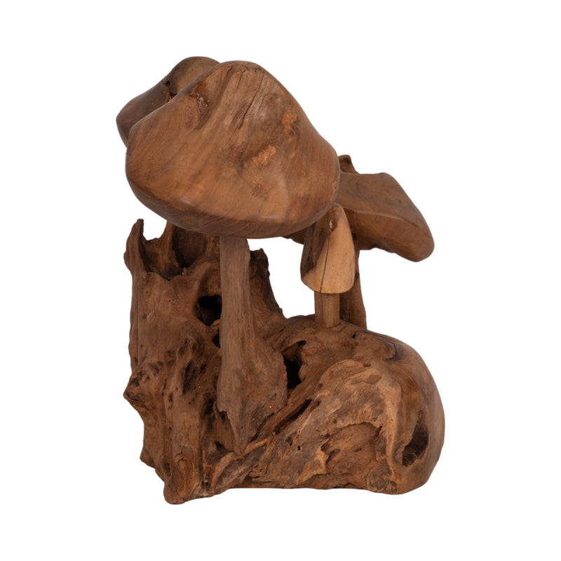 12 Teak Wood Mushroom Cluster, Natural