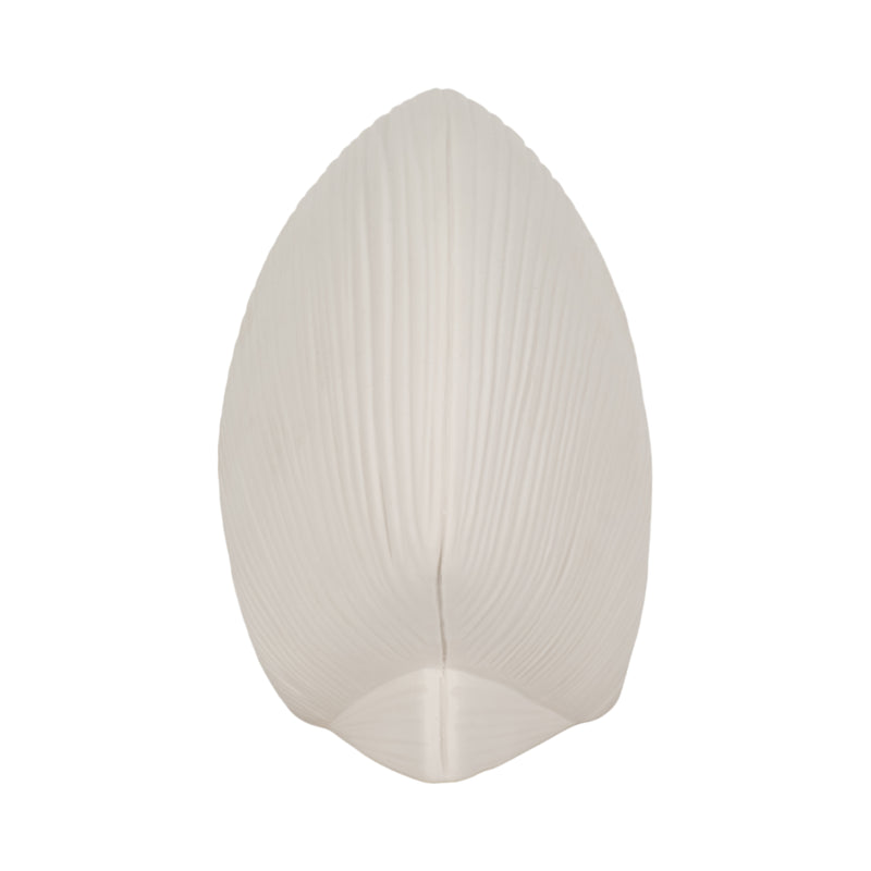 6 Seashell Decor, White