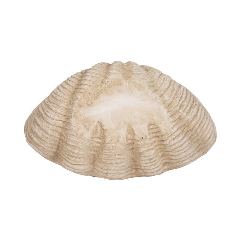 16 Pearlized Shell Bowl, Ivory