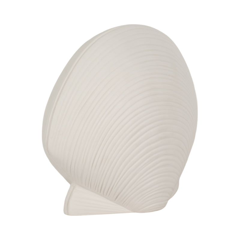 6 Seashell Decor, White