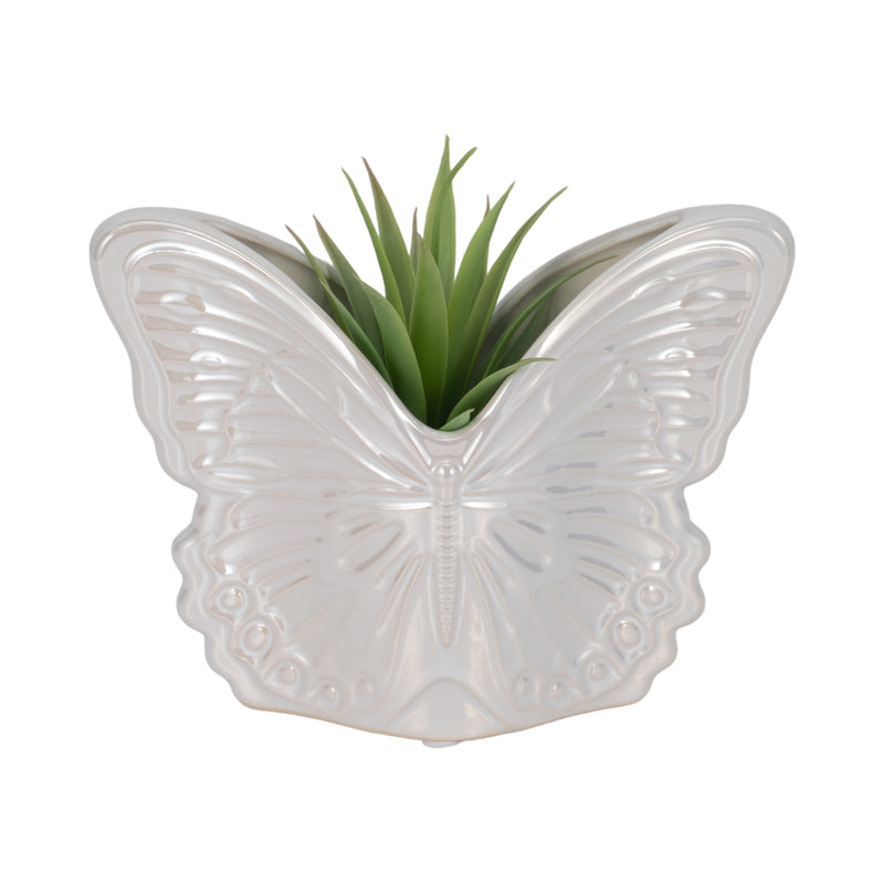 7 Iridescent Butterfly Planter, Ivory